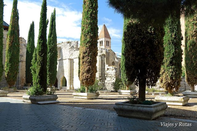 Colegiata Santa María la Mayor. Colegiata Santa María la Mayor. Valladolid