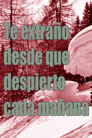 Te extraño desde que despierto cada mañana Te extraño desde que despierto cada mañana
