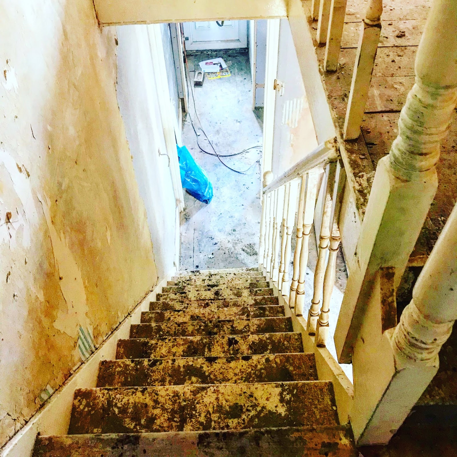 black-tea-the-bookshelf-cafe-news