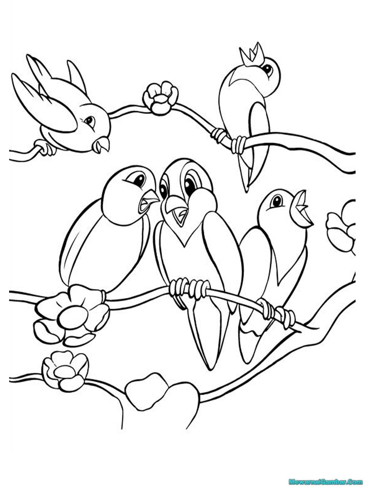 Gambar Video Burung Berkicau Walls Zee Gambar Video Burung Berkicau Walls Zee