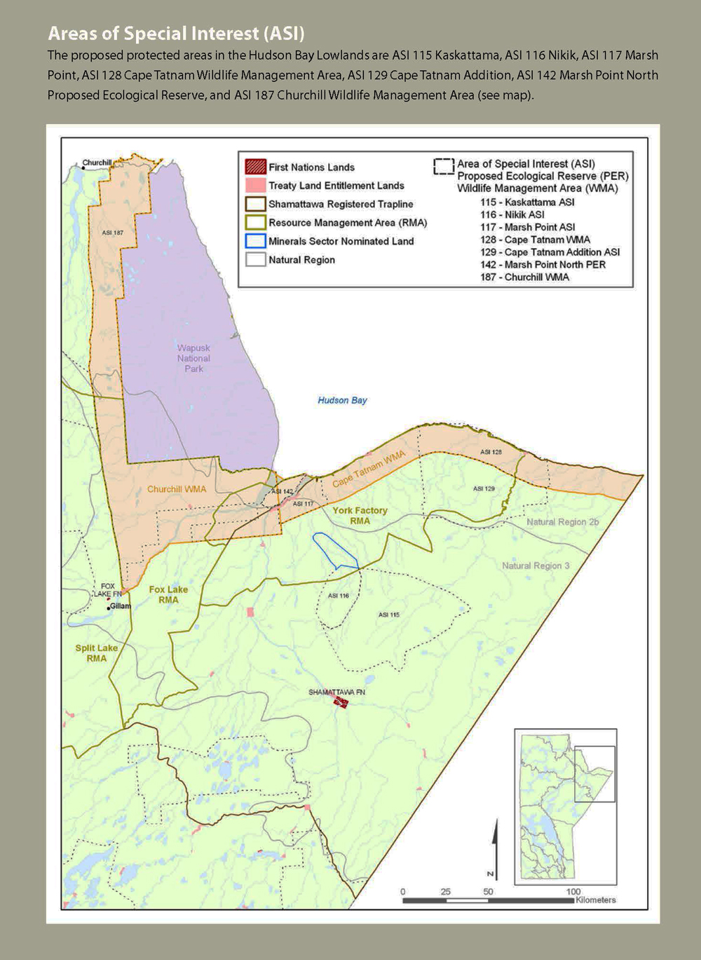 Amusing Musings Part III Where the bears are