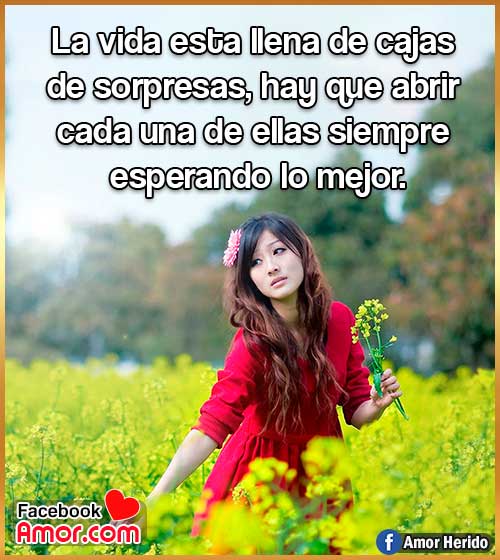 frases vida sorpresas frases vida sorpresas