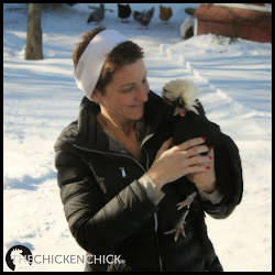 chicken chick coop gingerbread winter instructions cupcakes chickens care boxwood jar diy kit wreath square surviving merry giveaway ways backyard