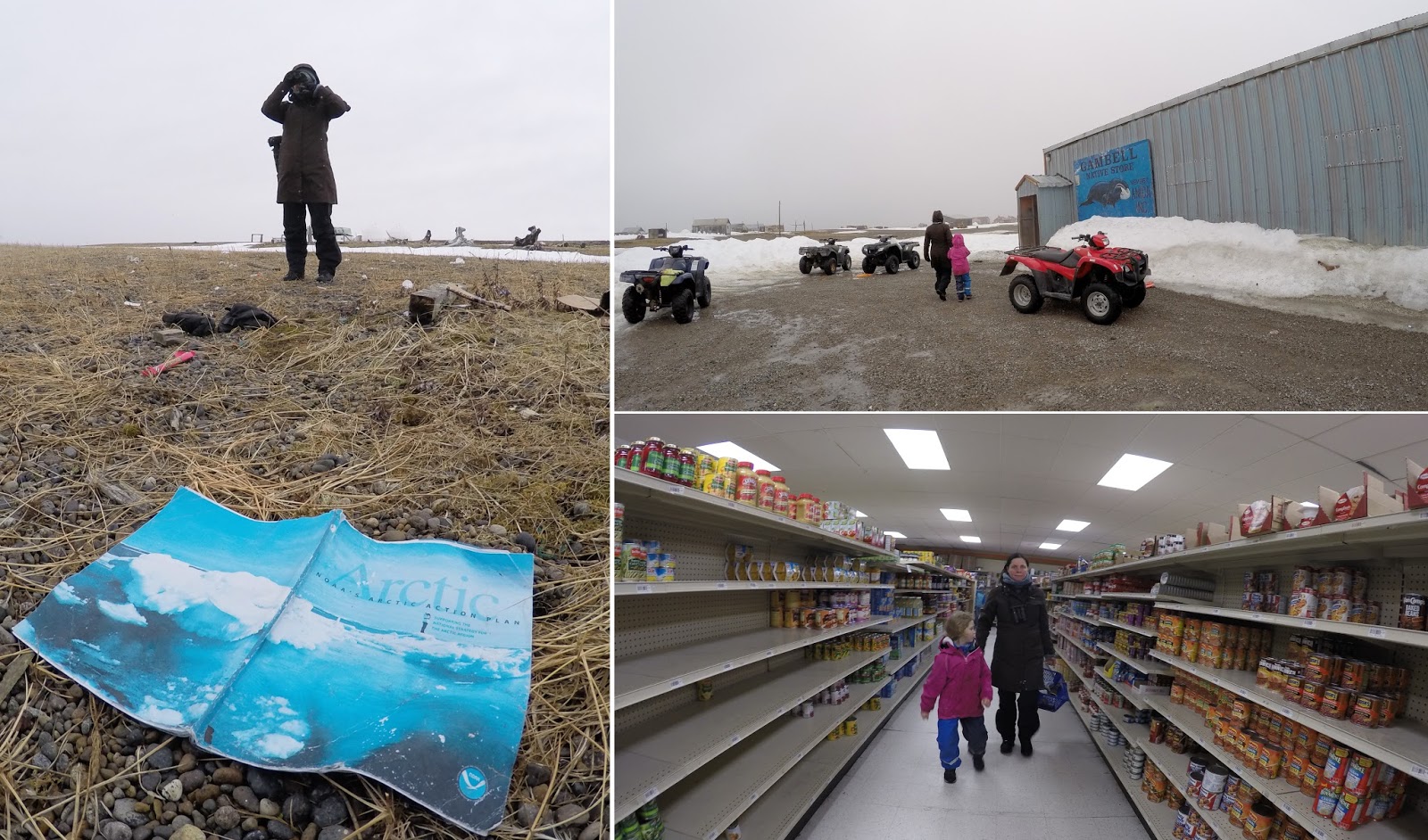 biotope Gambell, St.Lawrence island Alaska spring birding