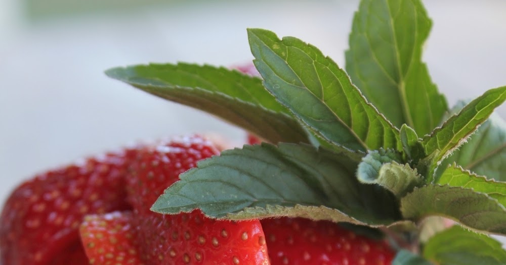 Wolkenfees Küchenwerkstatt: Erdbeeren mit Limonen-Minze-Quark