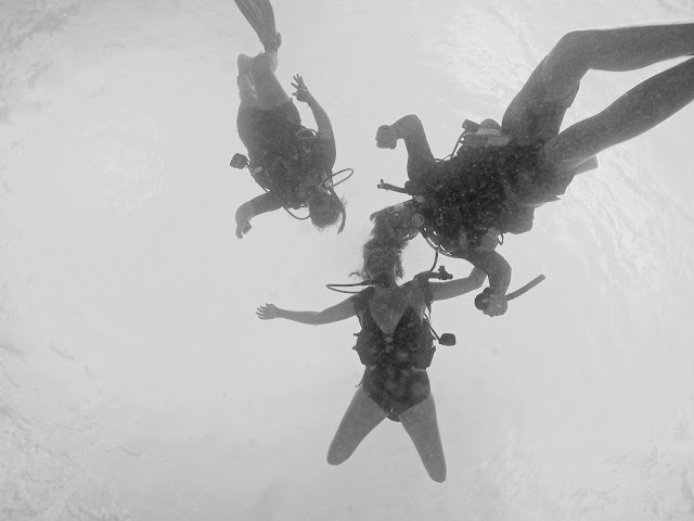 Diving in Barbados | Copyright: Skip to Malou Blog Diving, Underwater Photography, Barbados, Black and White Photography, GoPro
