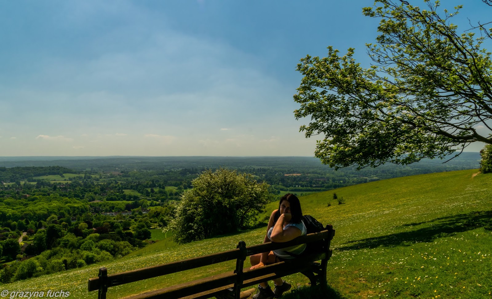 Enjoy your time with beautiful places: Reigate & Colley Hill