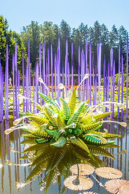 Chihuly at The Biltmore - Neodymium Reeds with Fiori Verdi, 2014 Chihuly at The Biltmore - Neodymium Reeds with Fiori Verdi, 2014