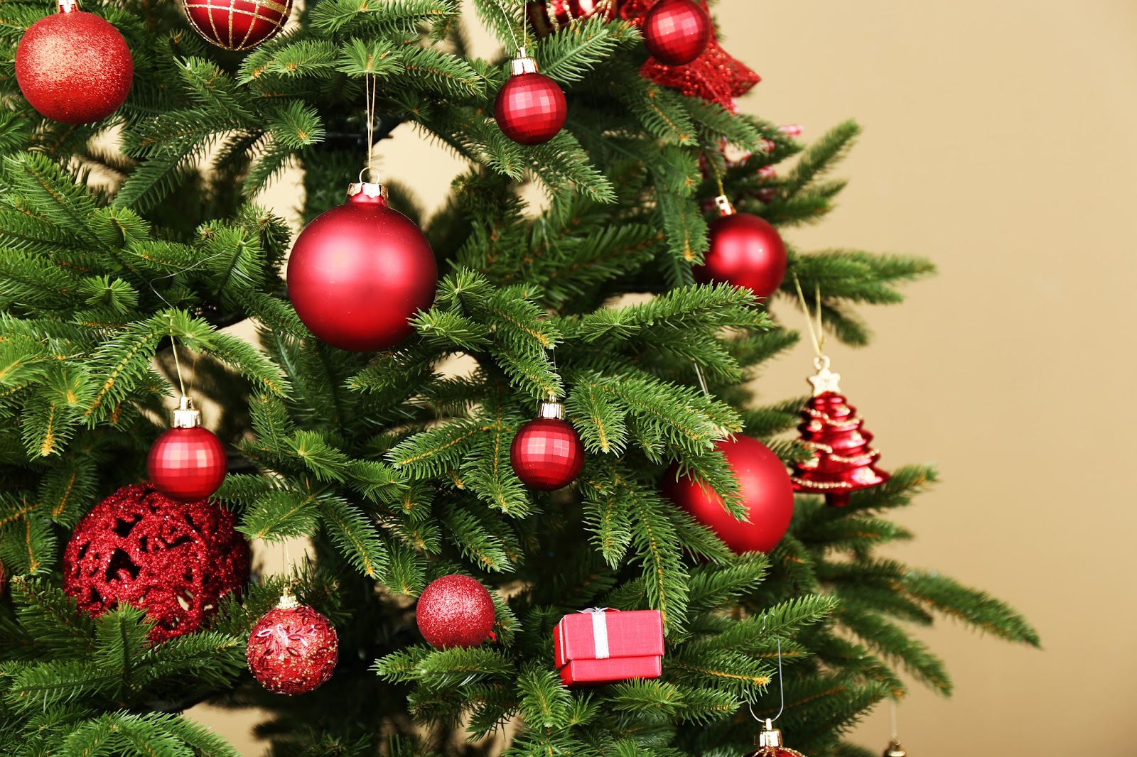Avon Pest Control Blog 7 Common Types of Pests that Infest Christmas Trees