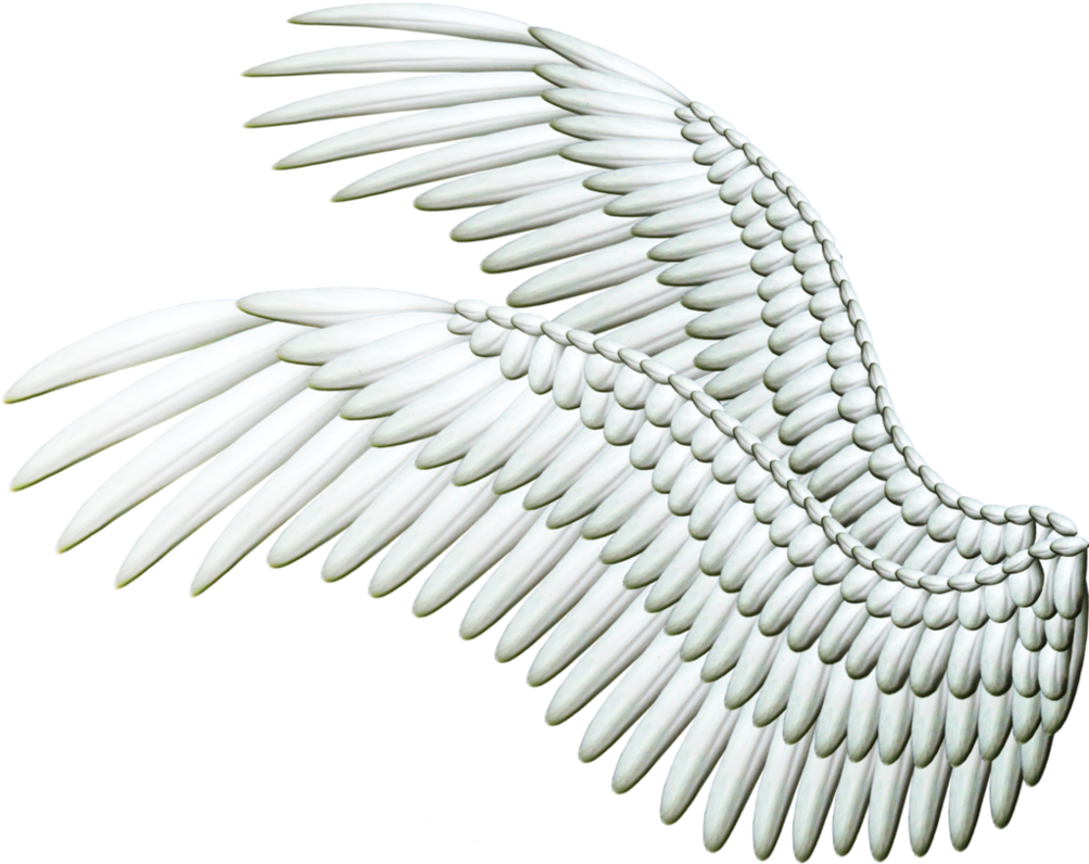 double_spread_wings___white.png