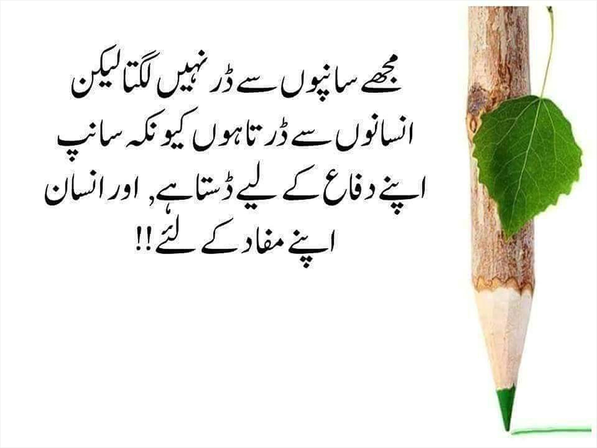 Famous Urdu Quotes About Life Hope and People Urdu Thoughts