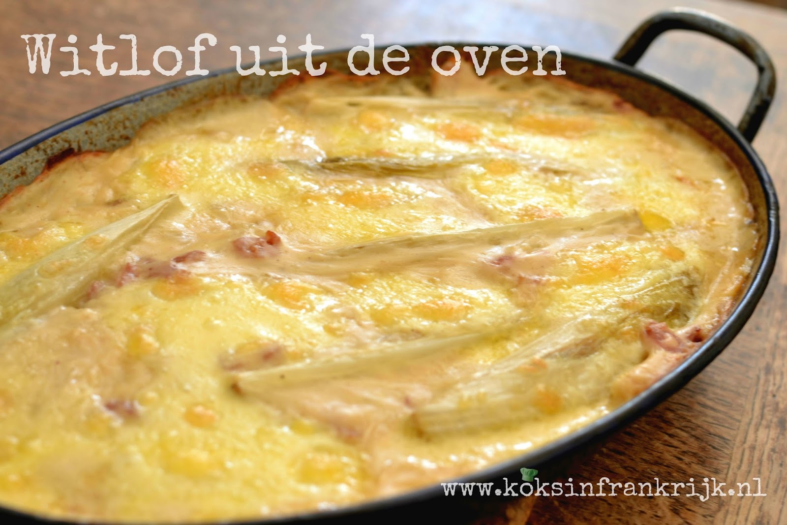 ovenschotel kaas ovenschotel kaas