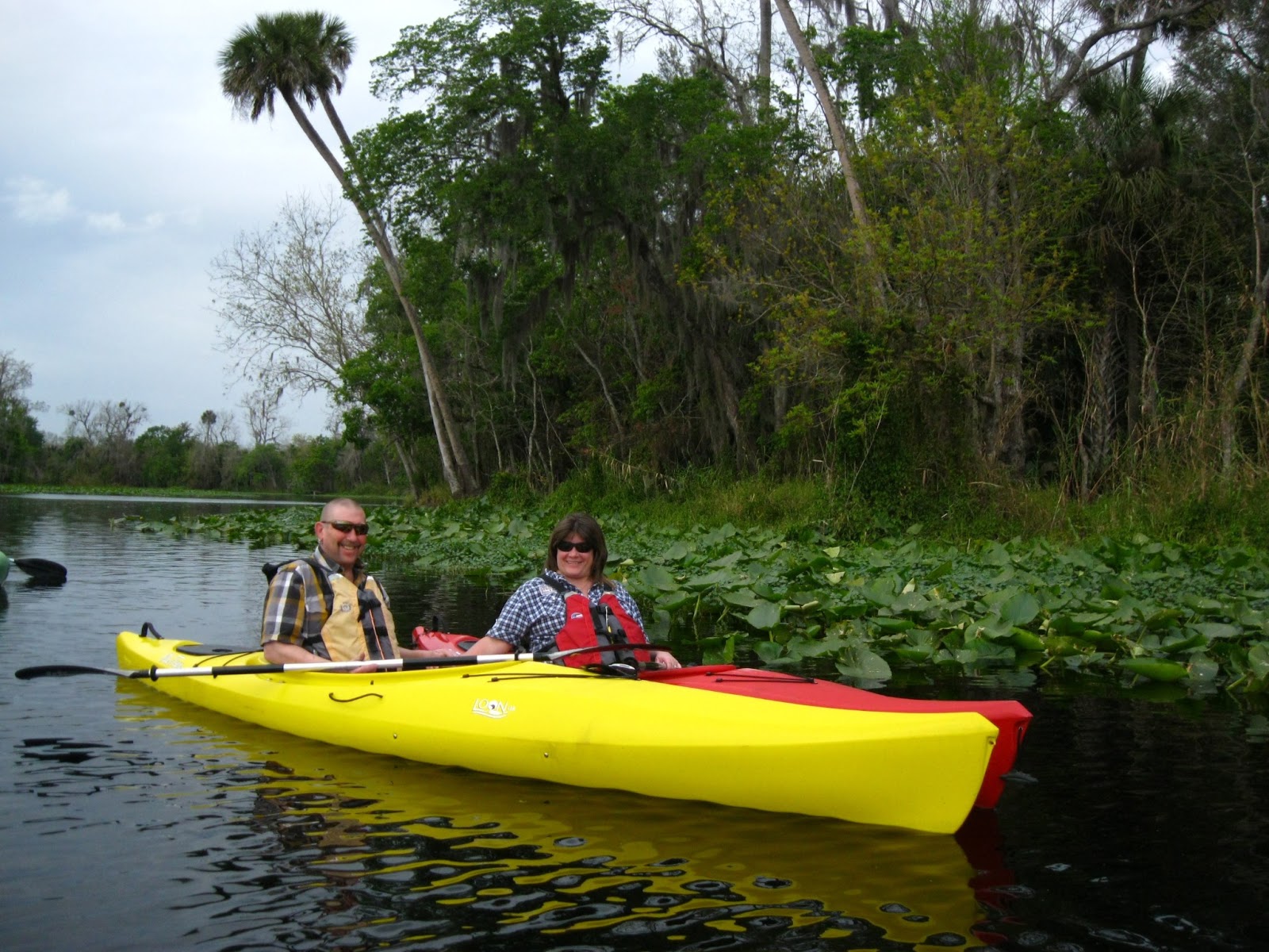 Central Florida Kayak Tours Kayaking with the Manatees, February 6, 2013