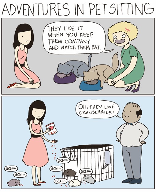 cat-versus-human