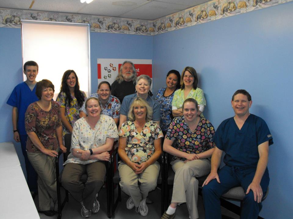 The Adventures of Chance, the Thorntown Library Cat Happy Anniversary