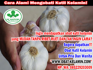 Obat Kutil Kelamin Obat Kutil Kelamin