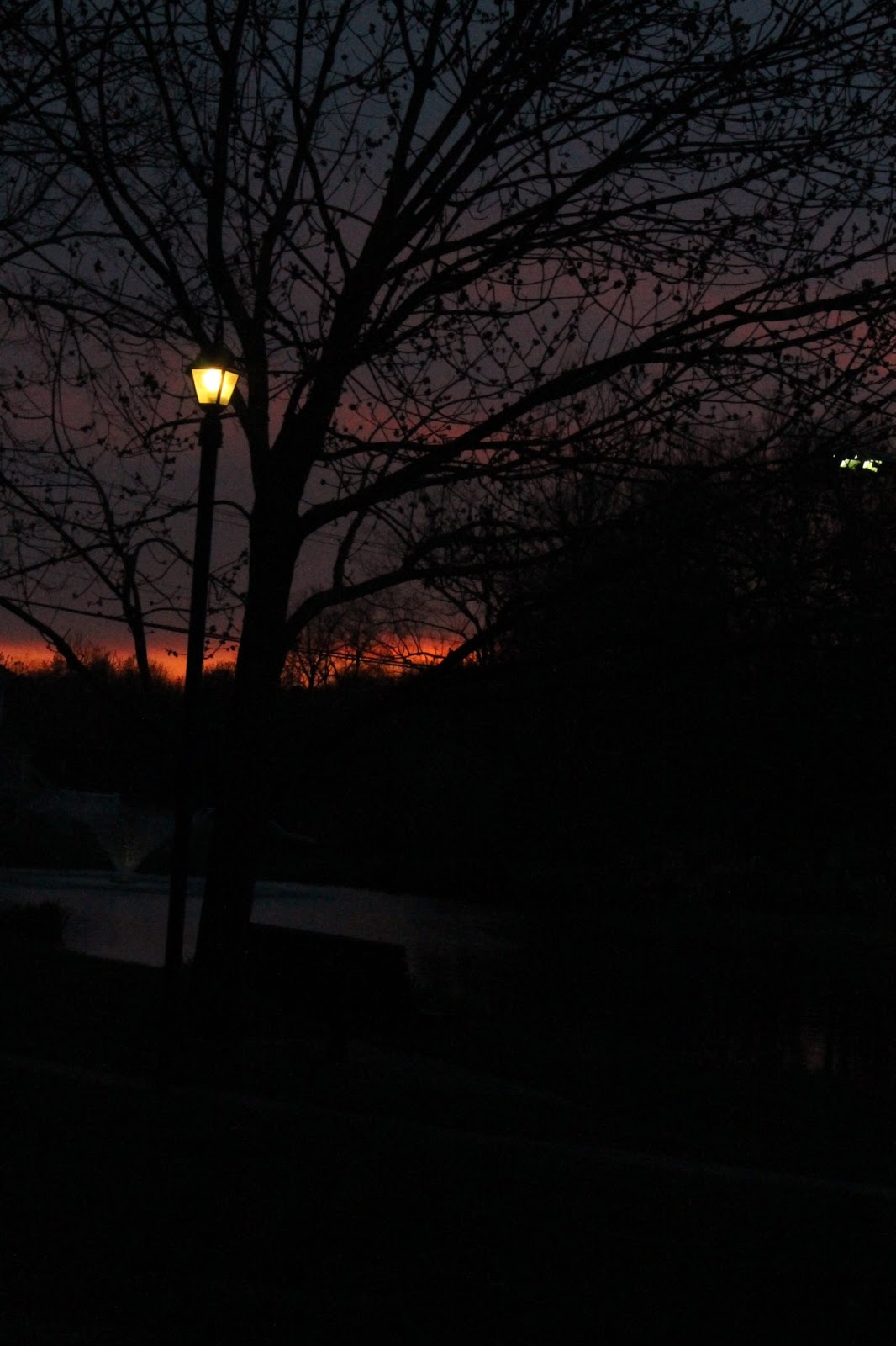 strawberry sunshine Night photography without flash