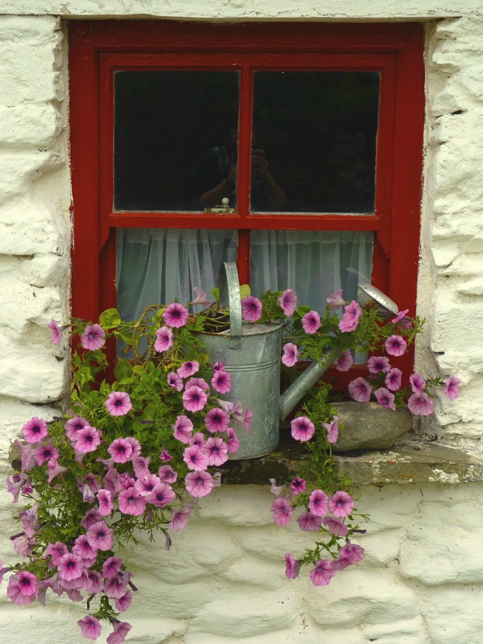 decorar ventanas plantas c 243 mo decorar una ventana con plantas guia de jardin decorar ventanas plantas c 243 mo decorar una ventana con plantas guia de jardin