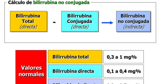 Q es la bilirrubina total