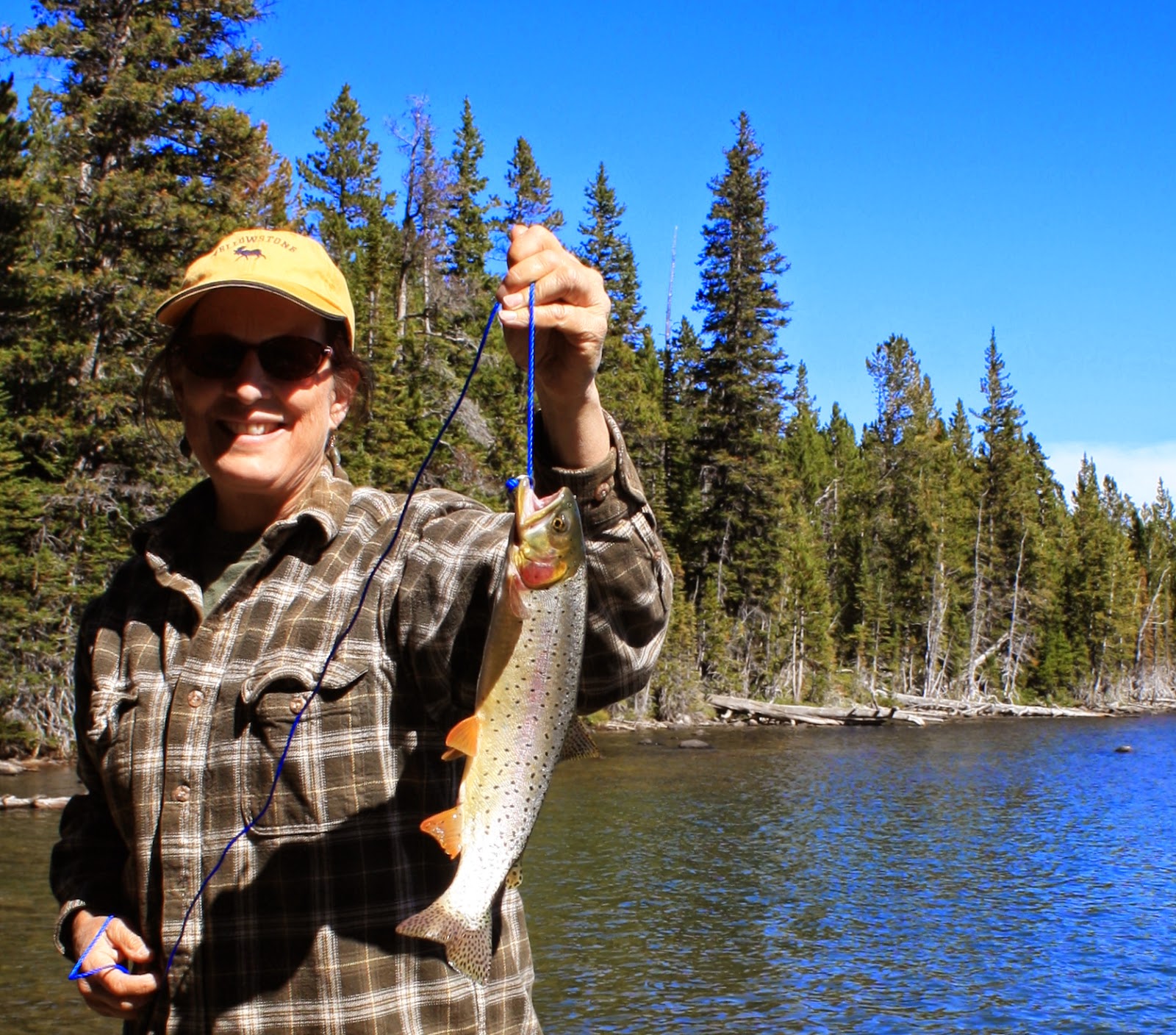 Living and Dyeing Under the Big Sky North Picket Pin Lake
