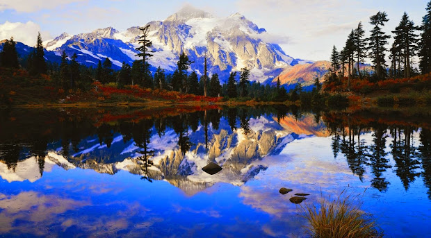 spring landscape hd wallpapers