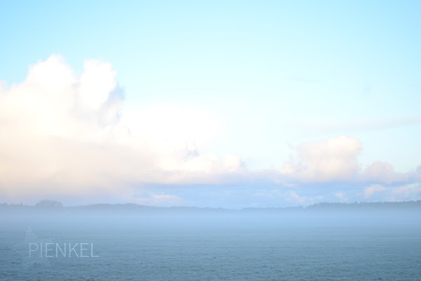 Polder at Terschelling on a winter morning.