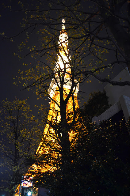 Tokyo Tower hidden among trees(東京タワーは木々の間に隠れて)