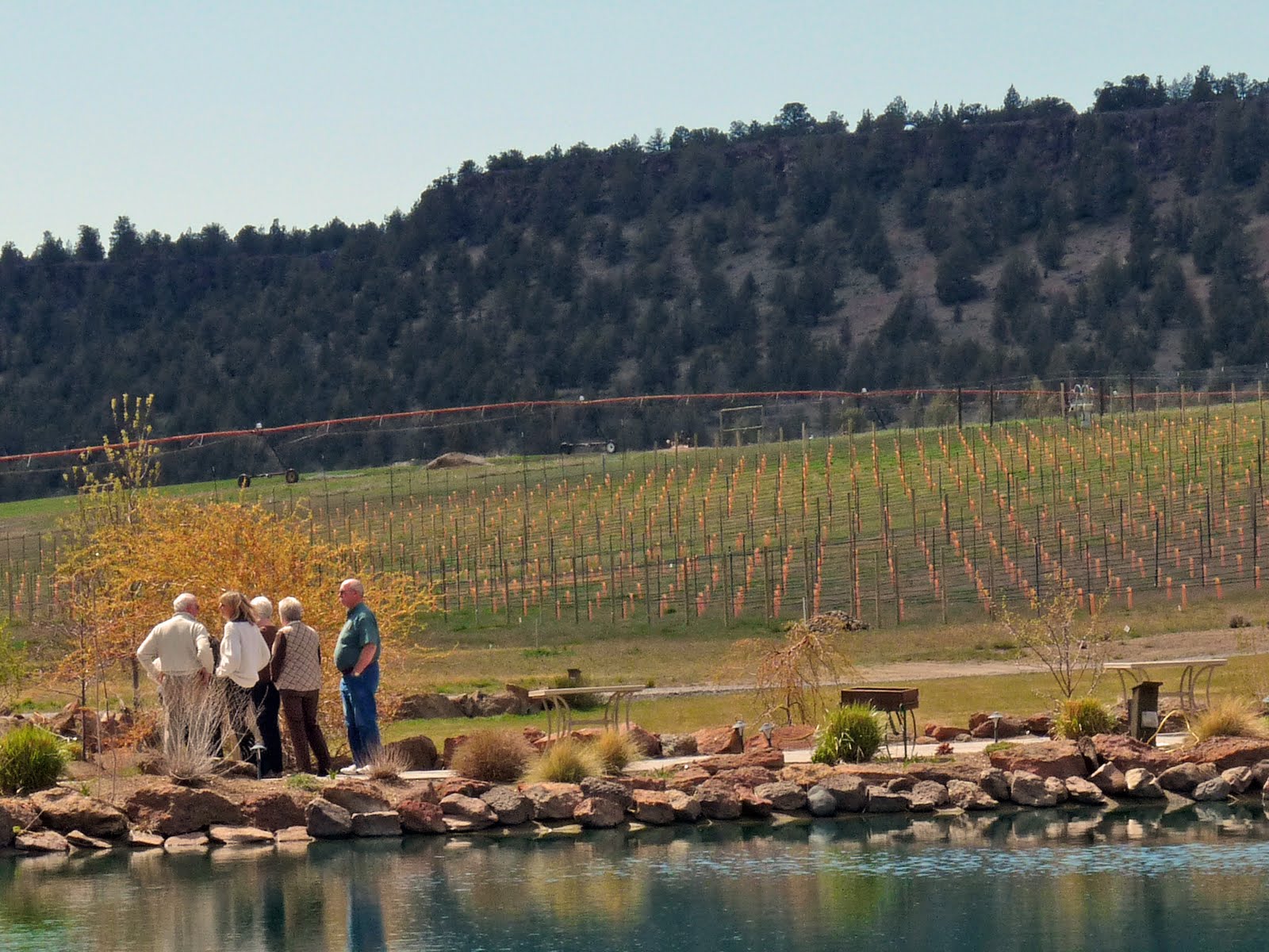 Focus on Bend Central Oregon wine growers thinking big