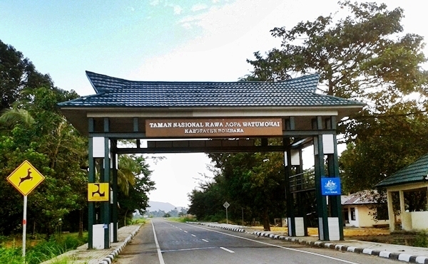 Wisata Alam Taman Nasional Rawa Aopa Watumohai Bombana | Aneka Wisata