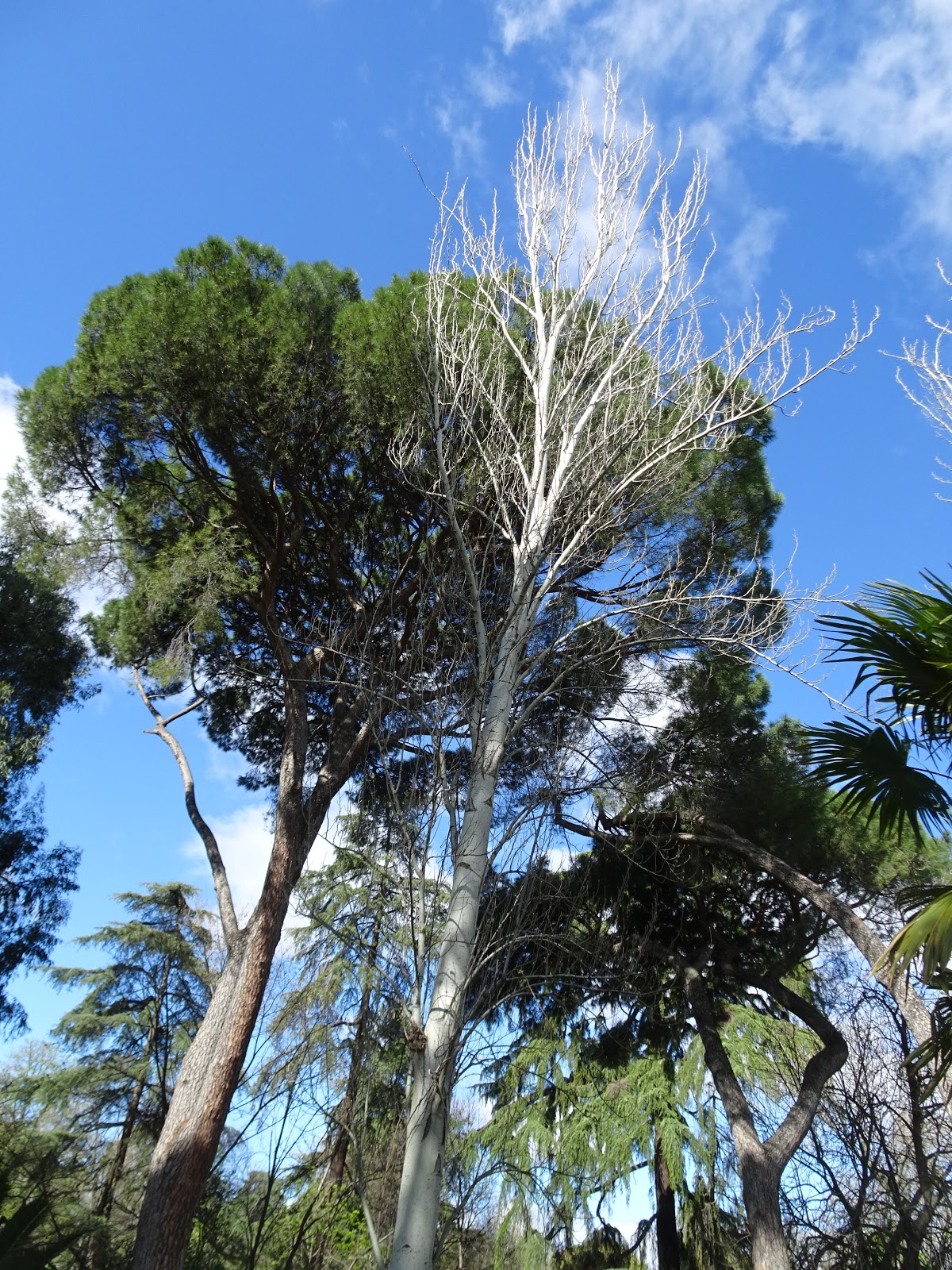 HAN GANADO LOS MALOS: abril 2018