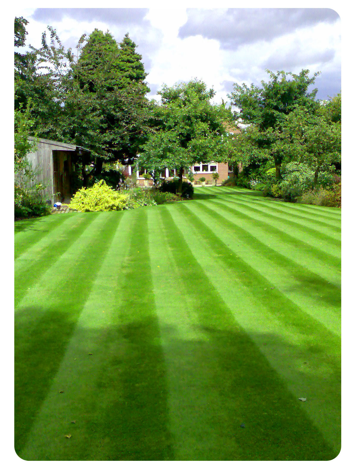 Chase Gardening and Landscaping: All About Lawns How to keep lawns