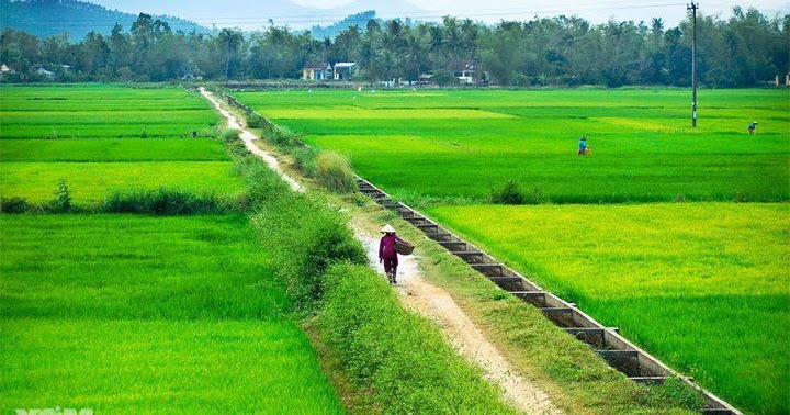 Duy Tình: Làng quê xưa ở đồng bằng Bắc Bộ Duy Tình: Làng Quê Xưa Ở Đồng Bằng Bắc Bộ