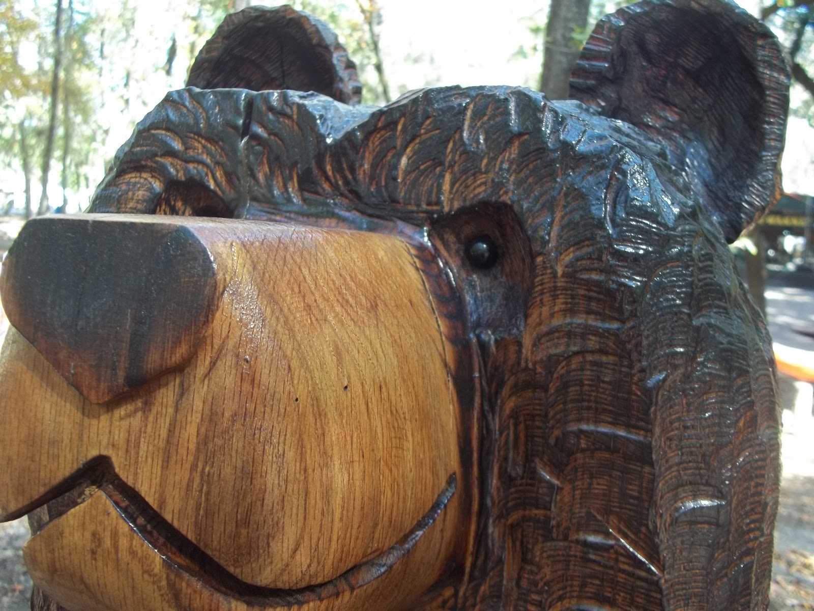 festgrrl Bear Creek Festival 10 Things To Know Before You Go