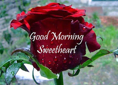 good - morning good - morning