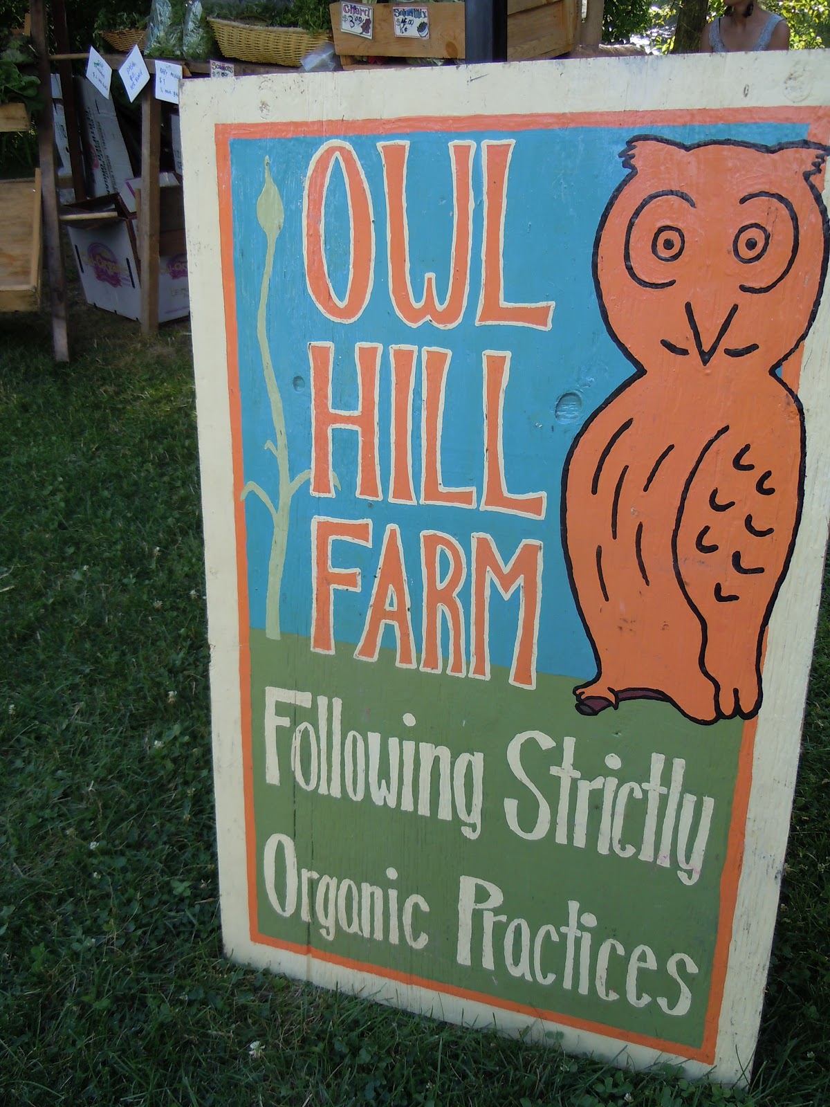 Dandelioness Herbals Plainfield Farmers' Market 2012 Season!