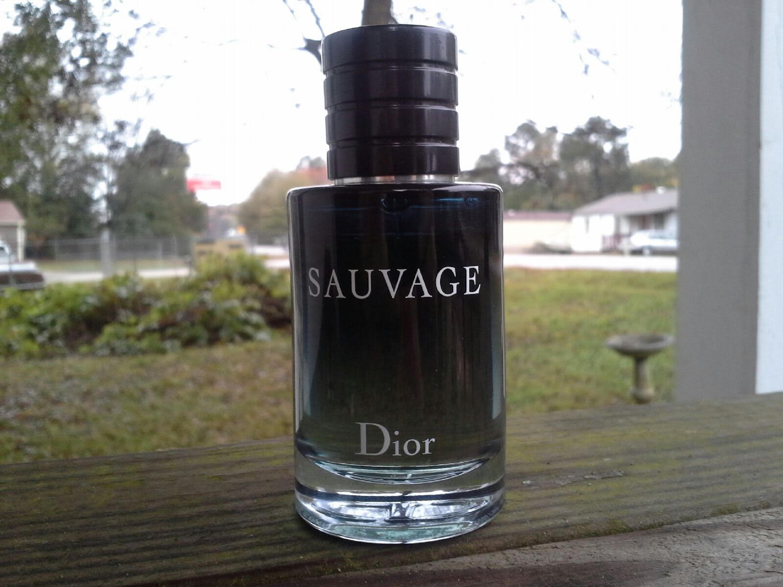 dior sauvage reviews