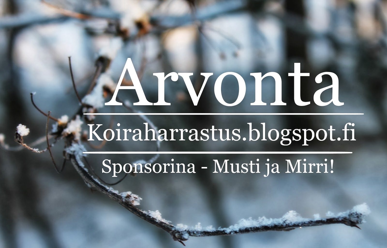 Arvonta