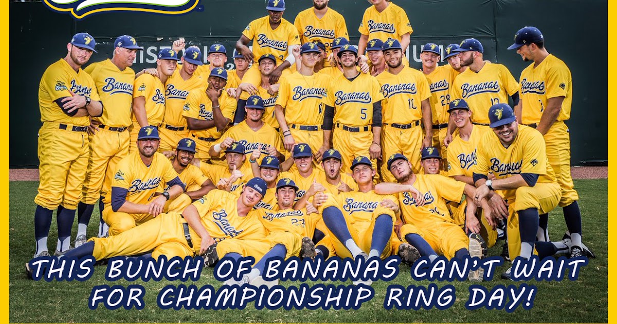 savannah bananas jersey