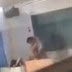 Insolite: un professeur et son étudiante surpris en pleine "action" dans une salle de classe (Vidéo)