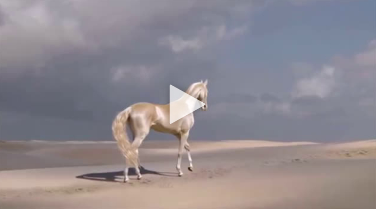 VIDEO Il cavallo più bello del mondo.