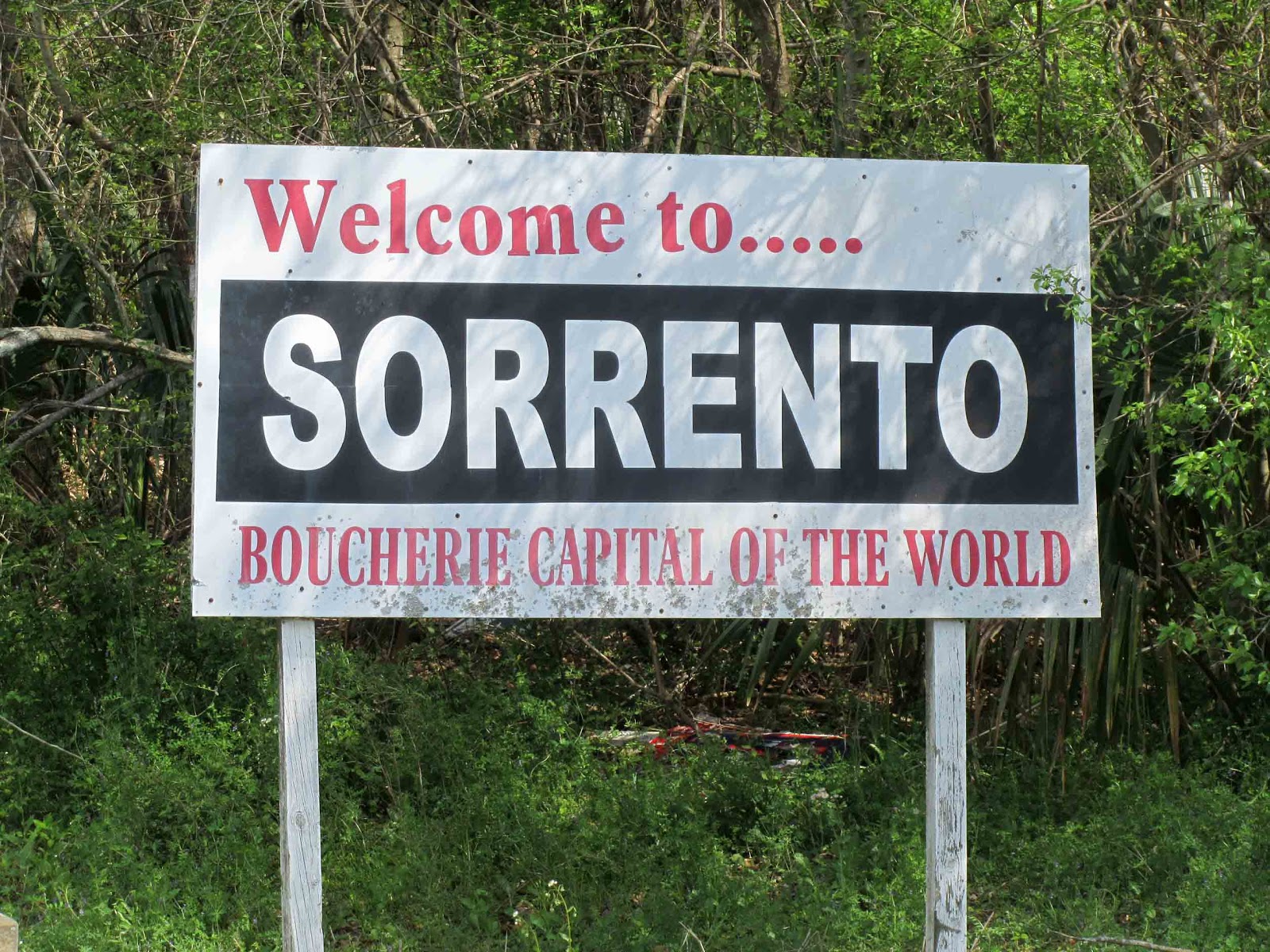 Geographically Yours Sorrento, Louisiana