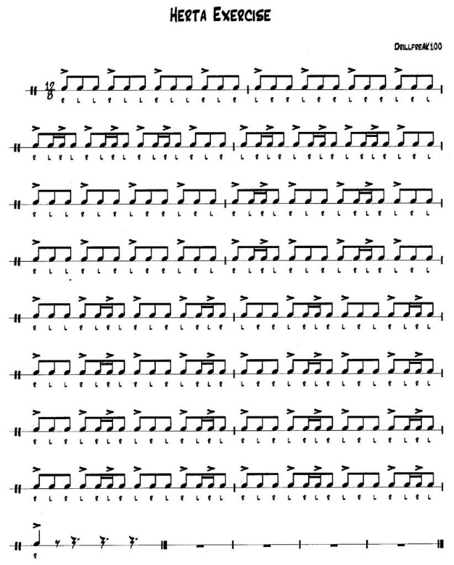 Snare Drum Licks
