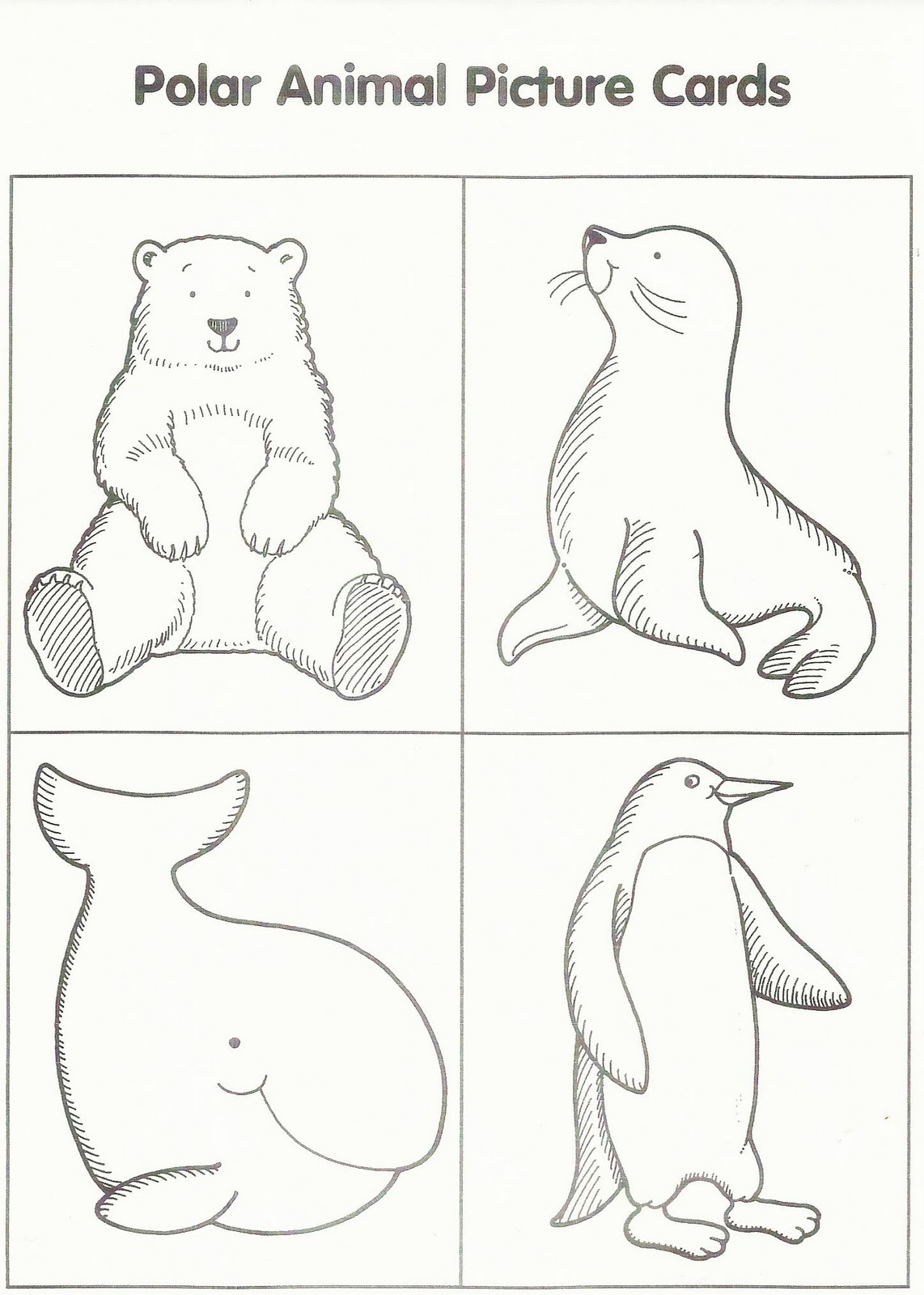 Squish Preschool Ideas January Artic Animals Polar Animals Winter 