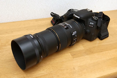 付属のフードを付けると長すぎますね。 SIGMA MACRO 105mm F2.8 EX DG OS HSM for Canon 付属のフード
