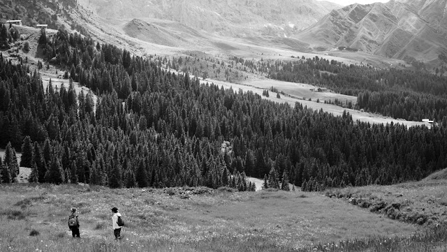 Panorama in bianco e nero dell'Alpe di Siusi