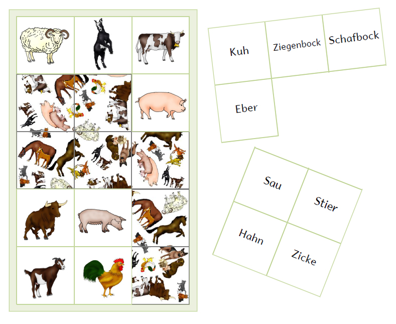 Lotto Englisch Lotto Englisch