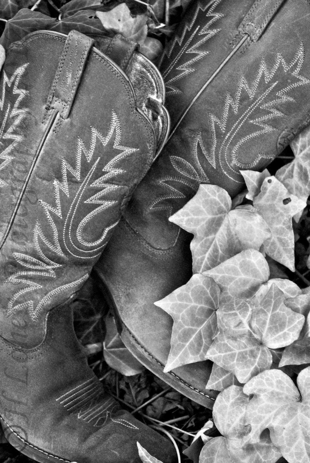 H. Loheit Photography: Boots in Black and White