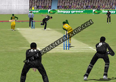 EA Sports Cricket 2004 Download Free For Pc 