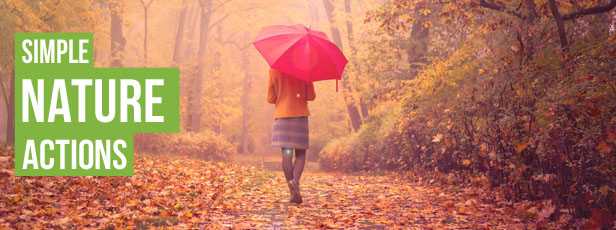 http://graphicriver.net/item/simple-nature-actions/16637642
