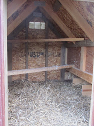 chicken coop inside 2x4 roosts half purposed re sleep cut night they